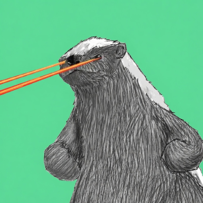 BADGER 
