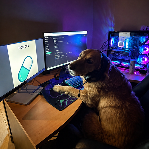 DogDev