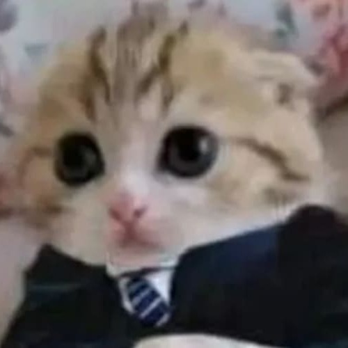 Suitcat logo