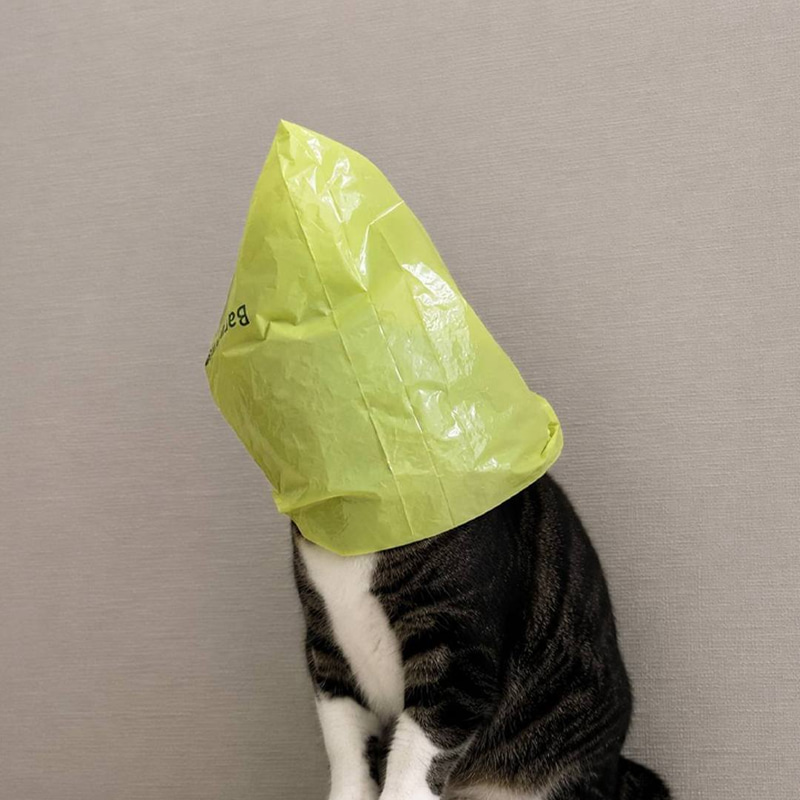 BAG
