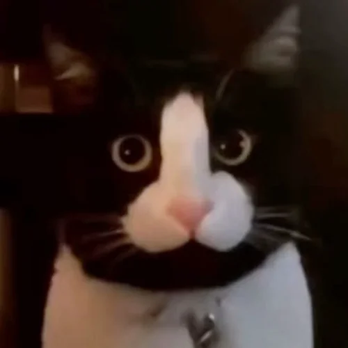 DICKCAT
