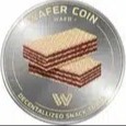 wafer