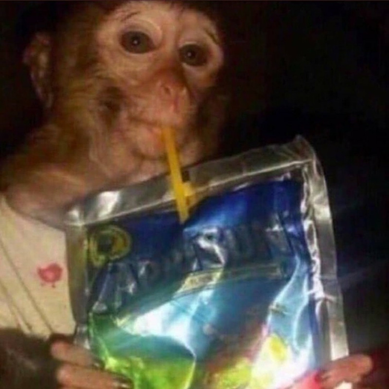 Capri-Sun Monkey logo