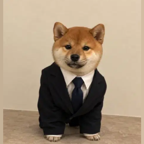 WSI