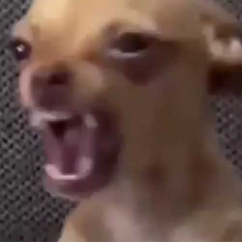 MAD