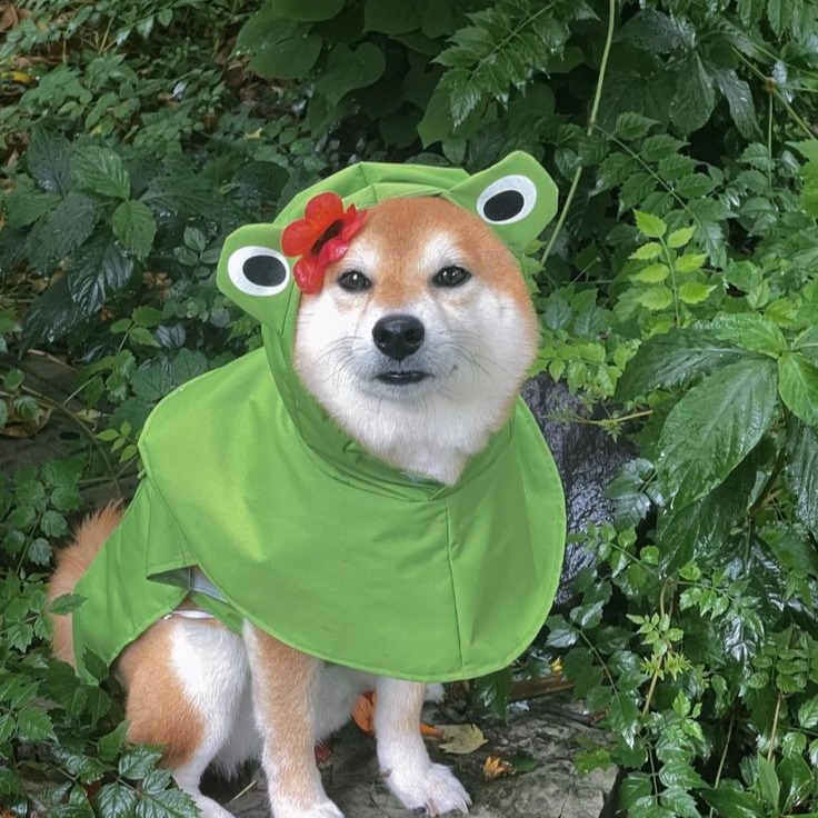 FI