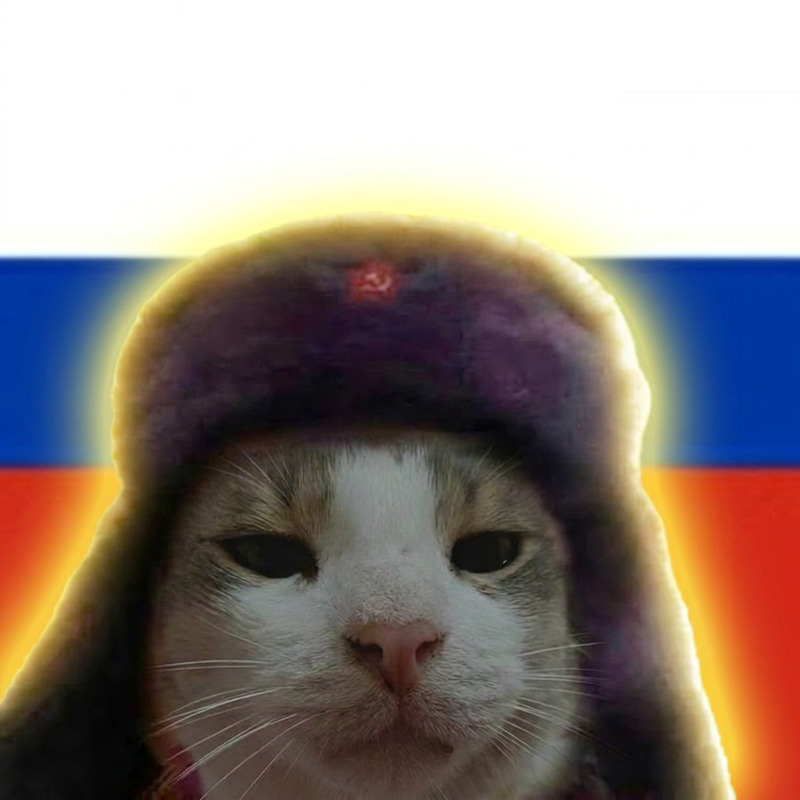 comrade
