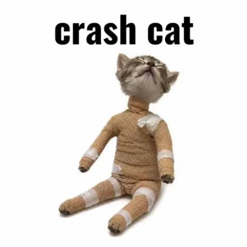 CRASHCAT