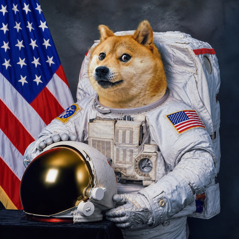 ASTROINU