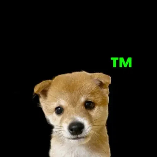 Trademarked Dоg™ logo