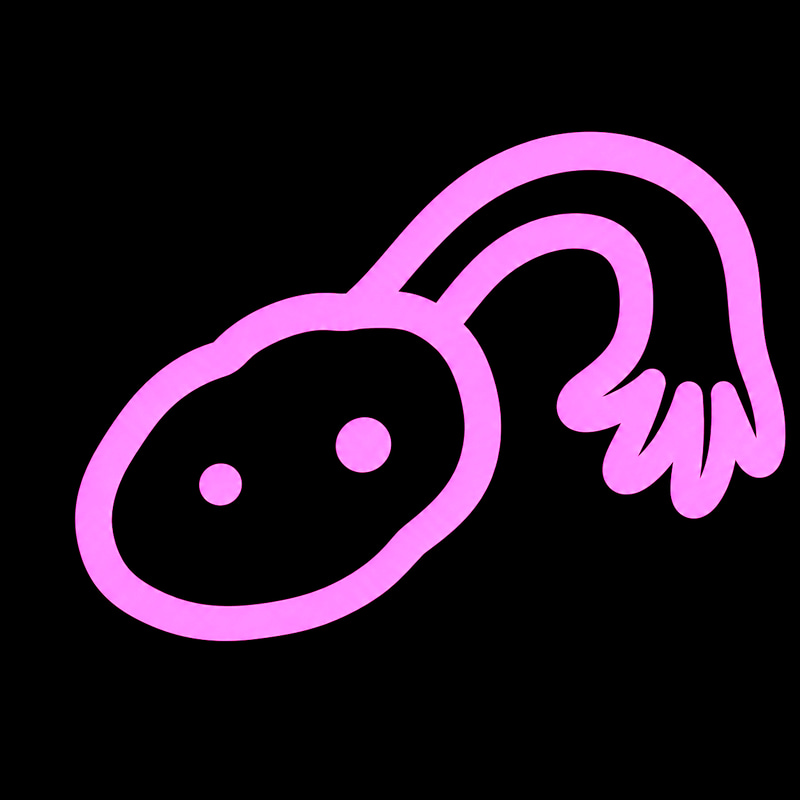 ovary