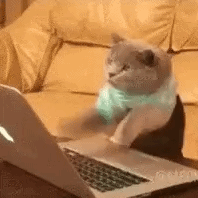 LAPTOPCAT