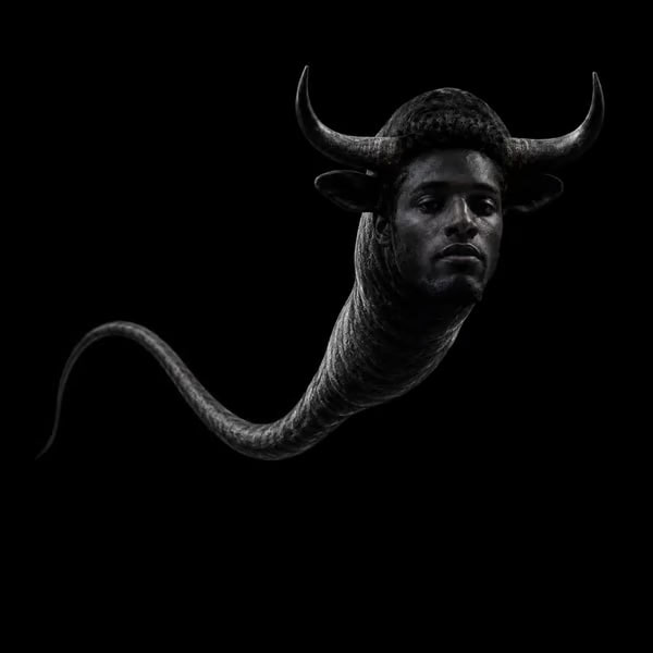 ANSPERM