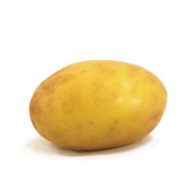 Potato
