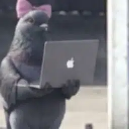 puter