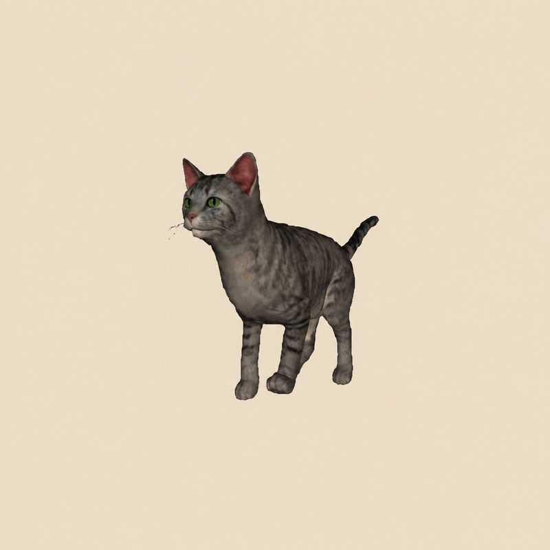 cat-01