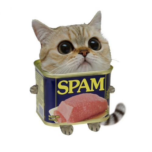 Spam
