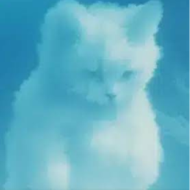 AIRCAT