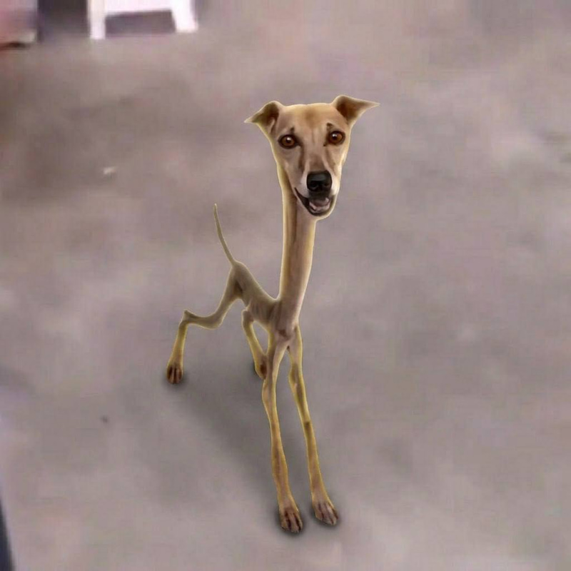 Long
