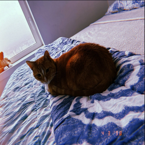 Hobbes