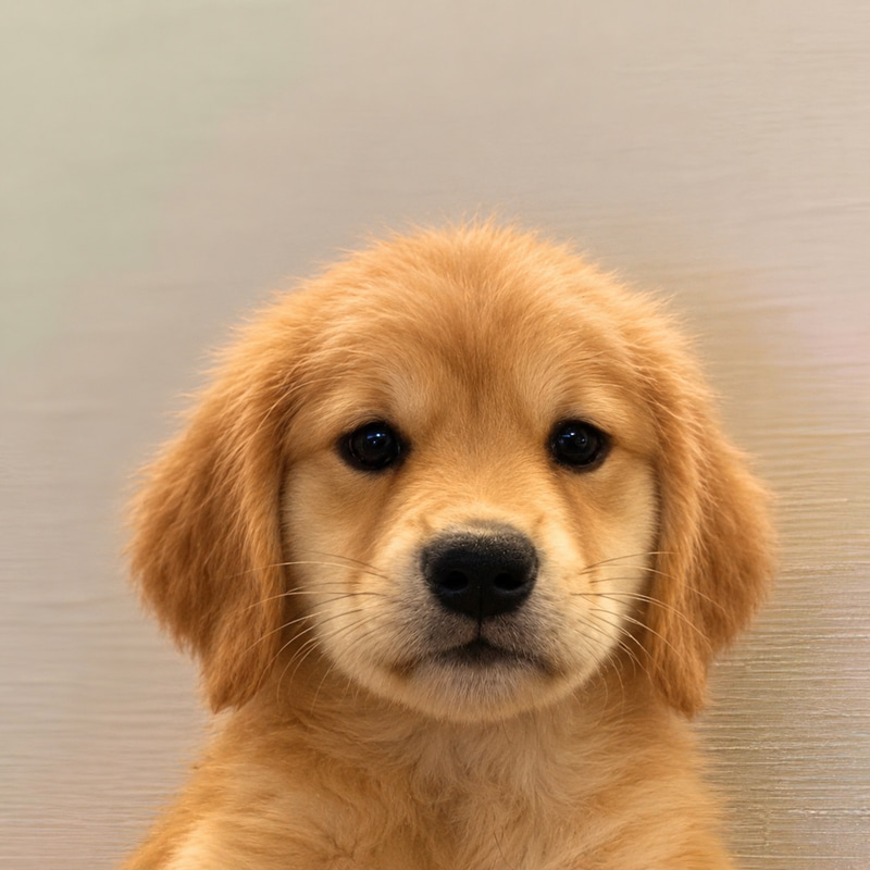 golden