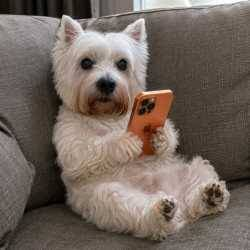 FONE