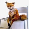 Stoned Fox logo