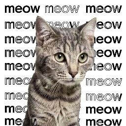 Meow Meow Meow logo