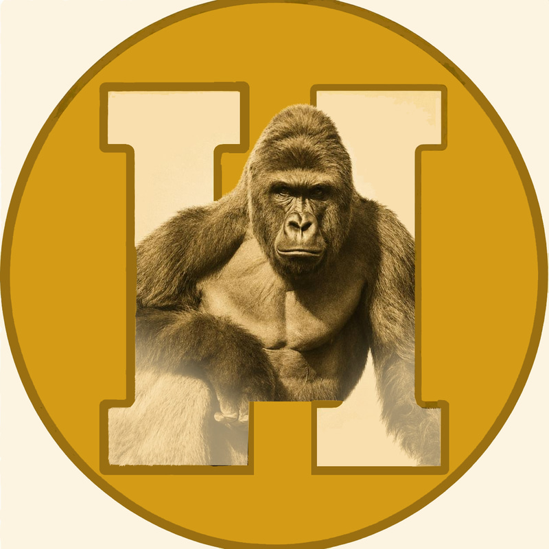 Harambe