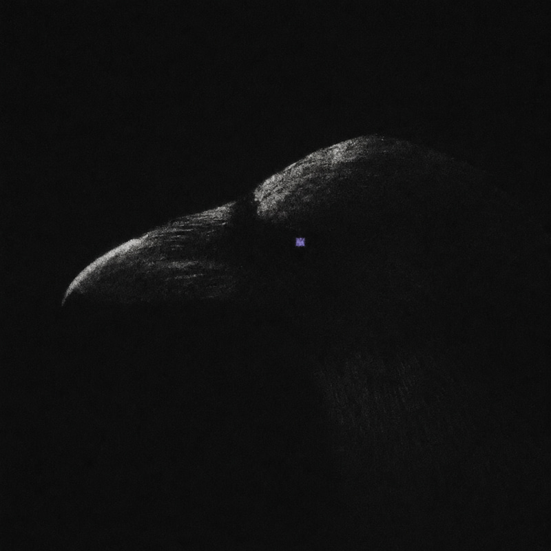 Qcrow logo