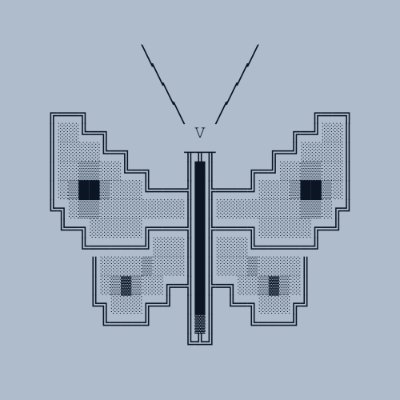 moth