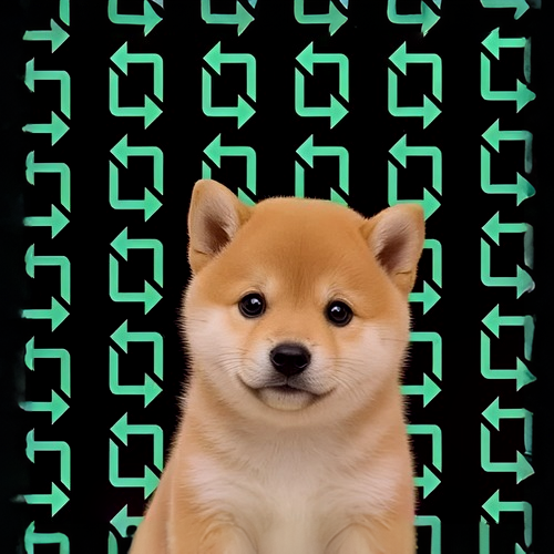 rDOG