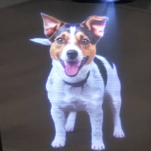 JAX