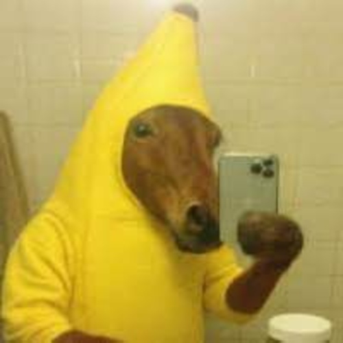 Nana Horse logo