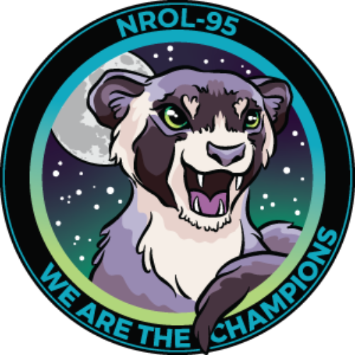 The SpaceX Ferret logo
