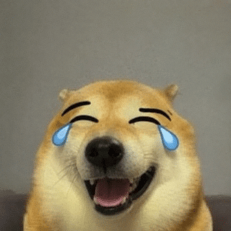 loldog