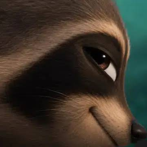 RJ The Raccoon logo