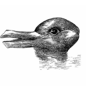 DUCKRABBIT