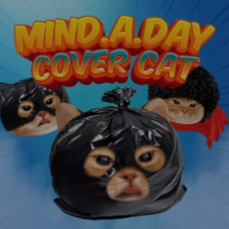 CoverCat logo