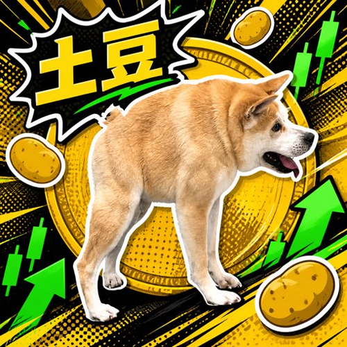 土豆