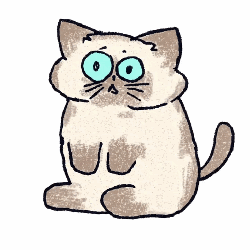 CHIMICHI