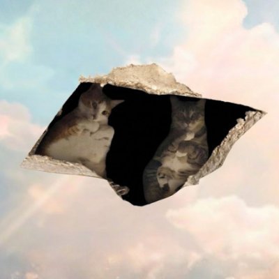ceilingcats logo