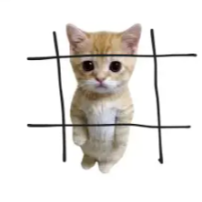 #CAT