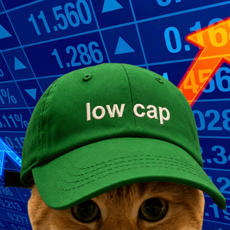Lowcap logo