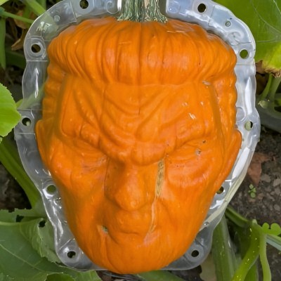 TRUMPKIN