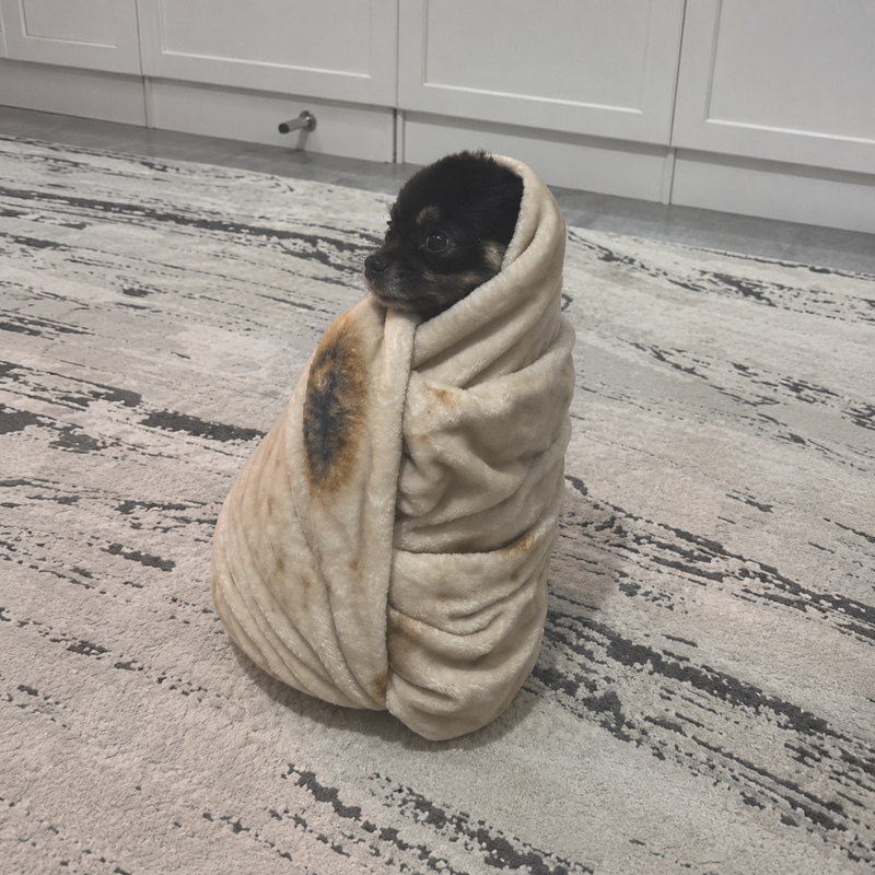 burritodog