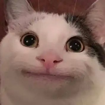 PoliteCat