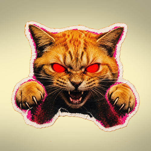 RAGECAT
