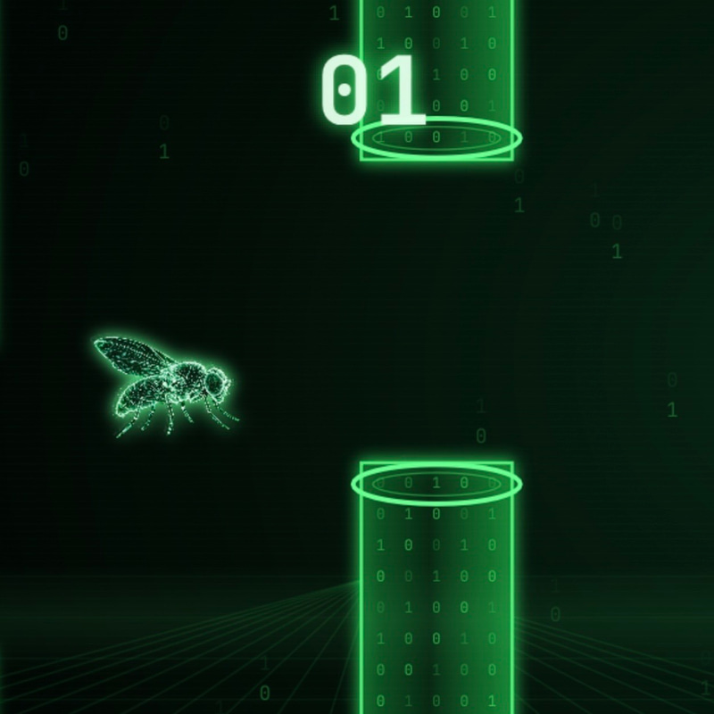 FLAPPYFLY