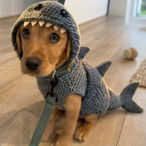 REMY